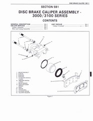 Brakes 037.jpg